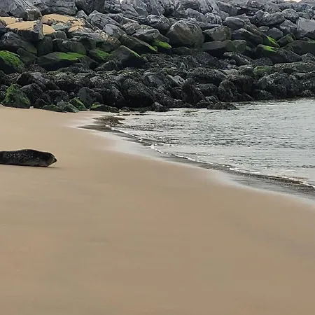 Zeezicht By Qua-lyne Appartement *