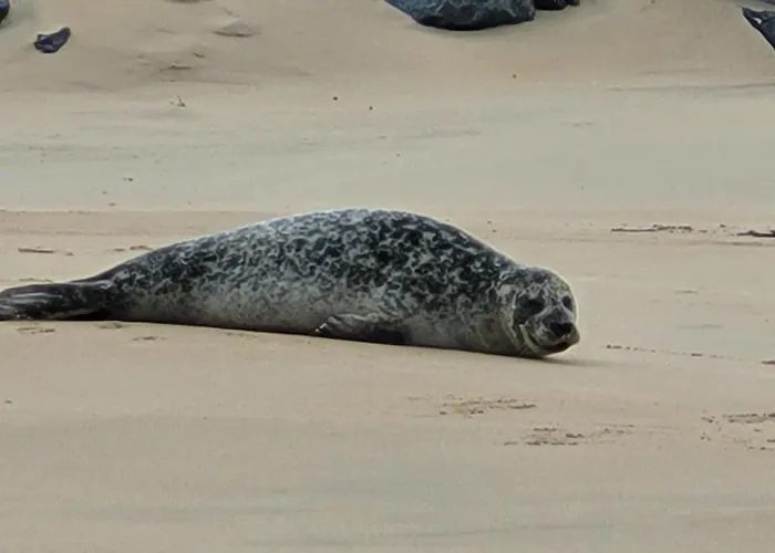 Zeezicht By Qua-lyne Ostende